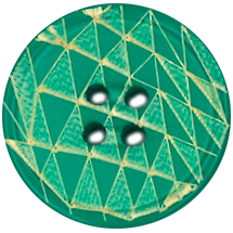 Desenli Galalit Düğme